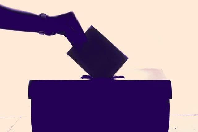 <p>This year is expected to see more people voting in elections than ever before </p>
