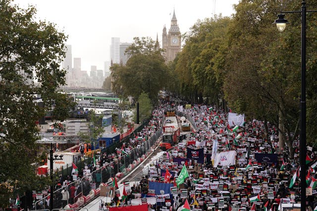 <p>Protesters during a pro-Palestine march organised by Palestine Solidarity Campaign in central London. Picture date: Saturday October 28, 2023.</p>