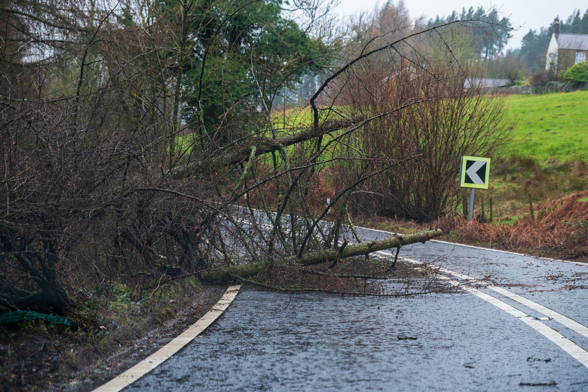 New ‘danger to life’ warning as Storm Ciarán barrels towards UK with 90mph winds