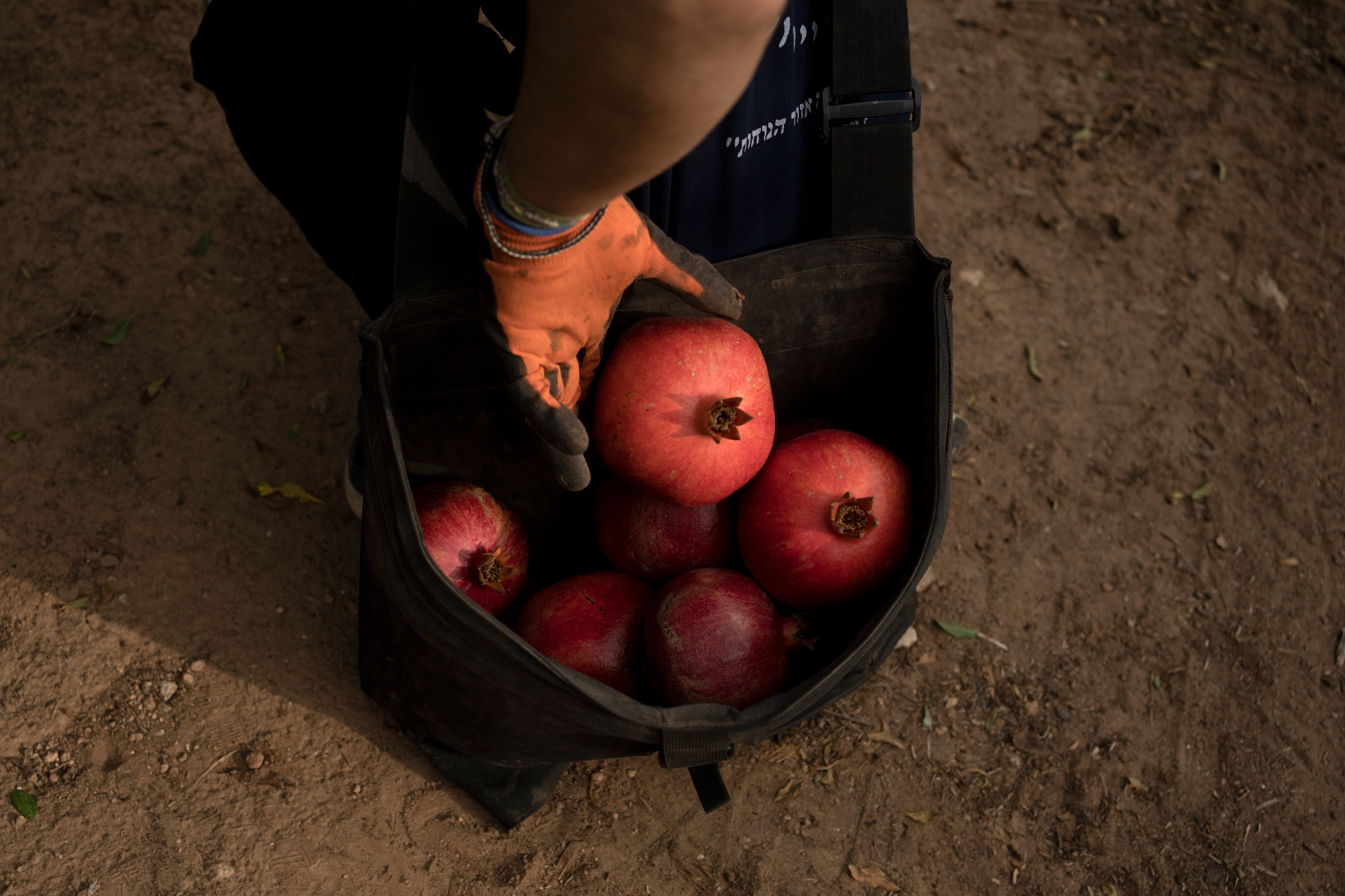 Israel Farming Crisis
