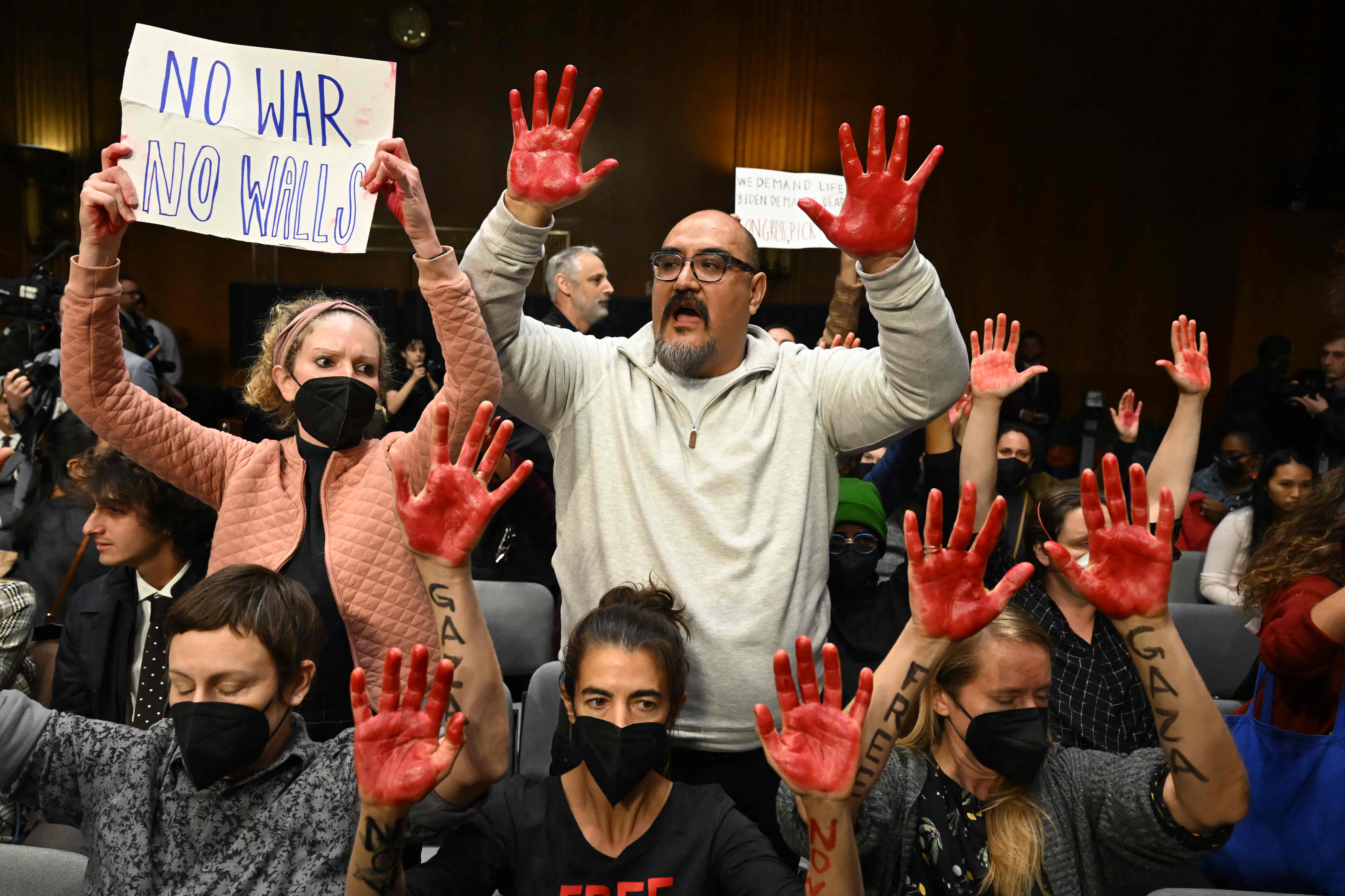 Protesters Call For Gaza Ceasefire Amid Blinken’s Senate Testimony ...