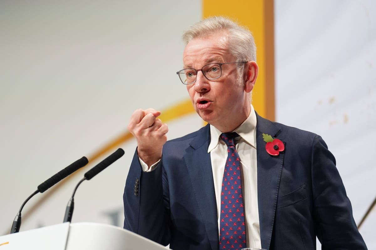 ‘Immoral’ asset managers have ‘co-opted’ diversity agenda, says Gove