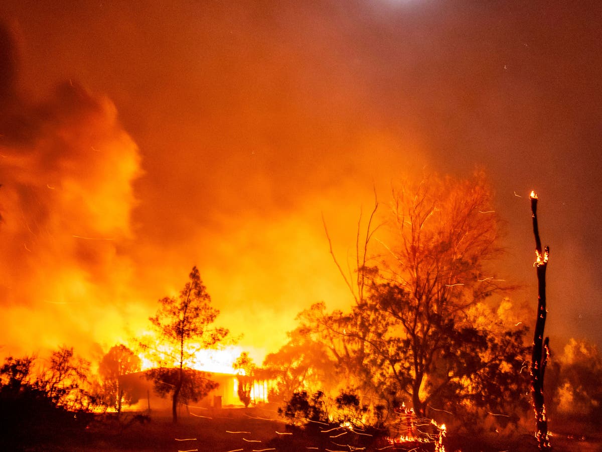 California wildfire puts 1,300 homes at risk as Santa Ana winds whip flames