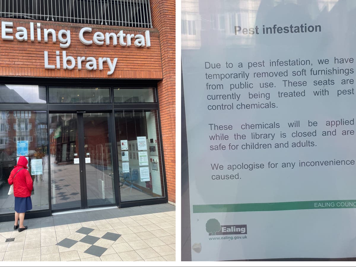 Bedbug outbreak spreads to London library as parents and children forced to evacuate