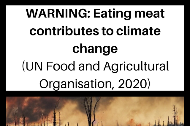 A new study has found that graphic health warnings like the ones on cigarette packets could help reduce meat consumption and benefit the environment (Durham University/PA)