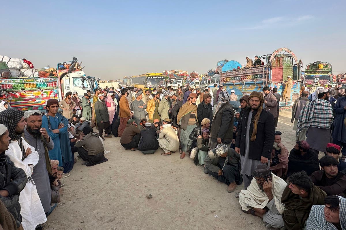 Dozens of Afghans who were illegally in Pakistan are detained and deported in nationwide sweeps