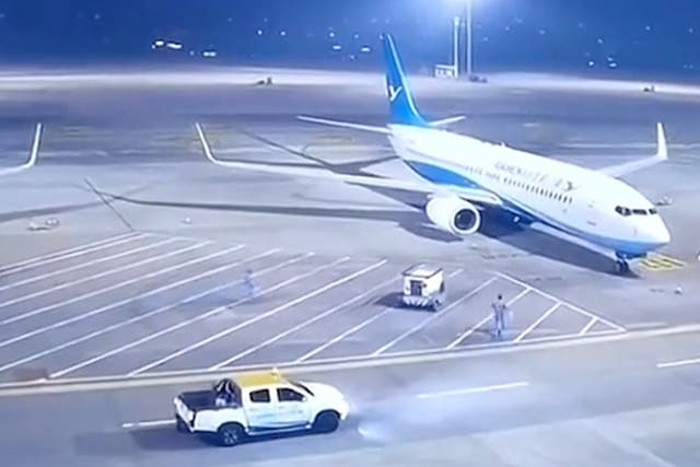 <p>The Xiamen Airlines Boeing 737  sustained minor damage to an engine  </p>