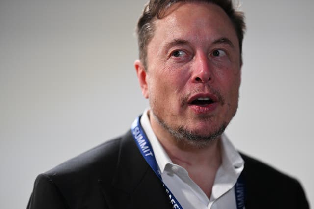 Elon Musk said AI was an ‘existential risk’ (Leon Neal/PA)