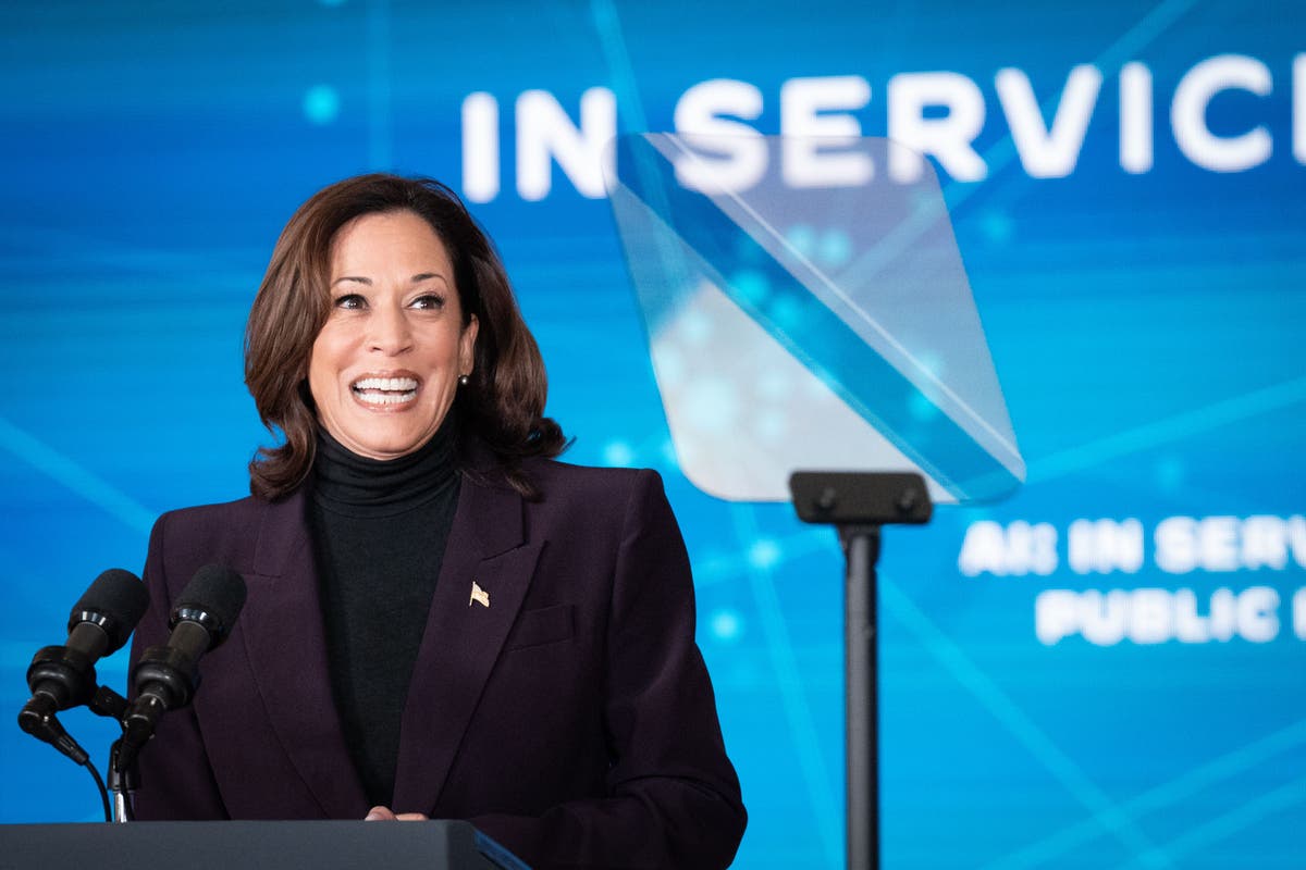 Vice president Harris sets out measures to tackle &lsquo;full spectrum&rsquo; of AI risks