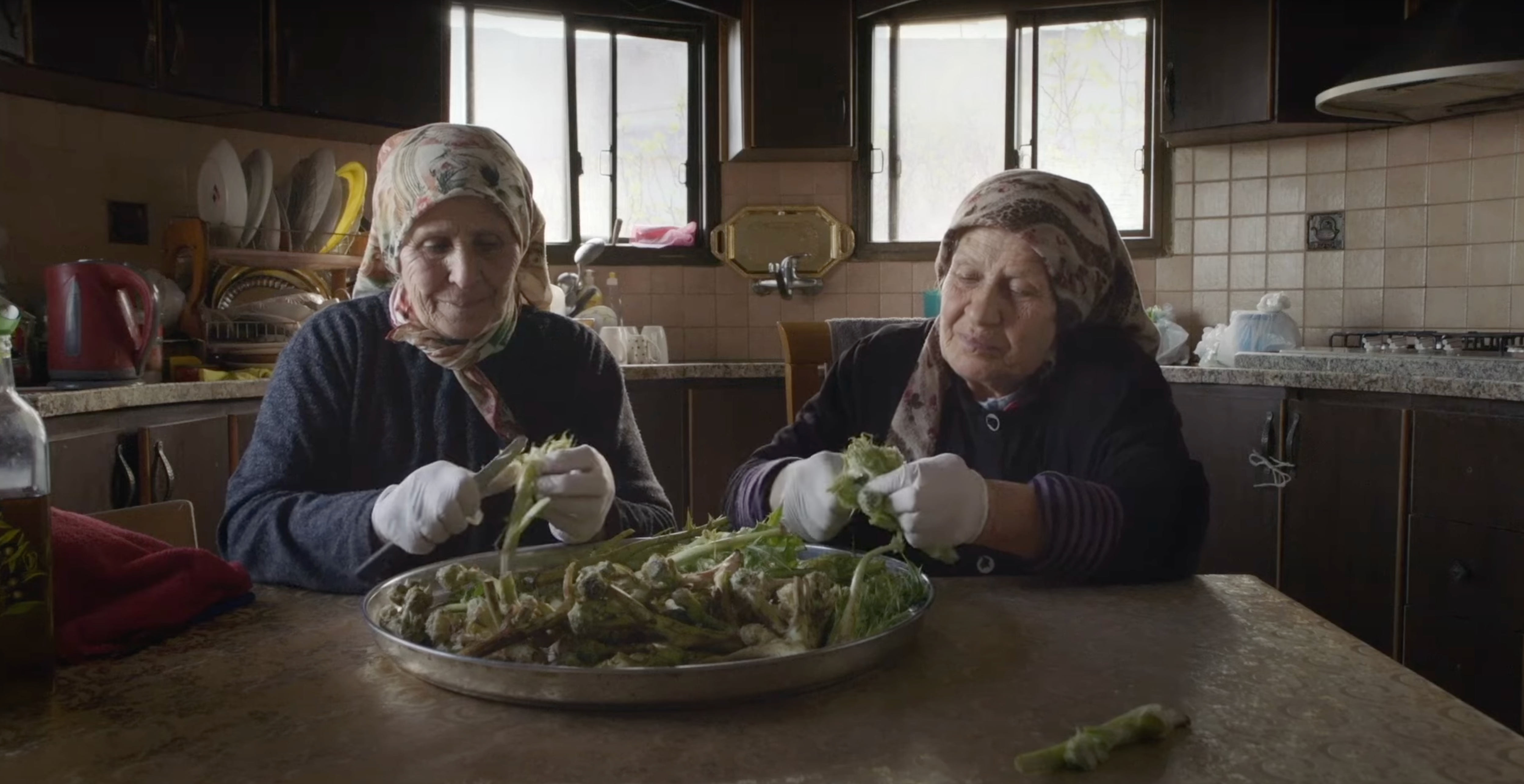 Jumana Manna’s film ‘Foragers’ explores the Palestinian practice of foraging wild plants.
