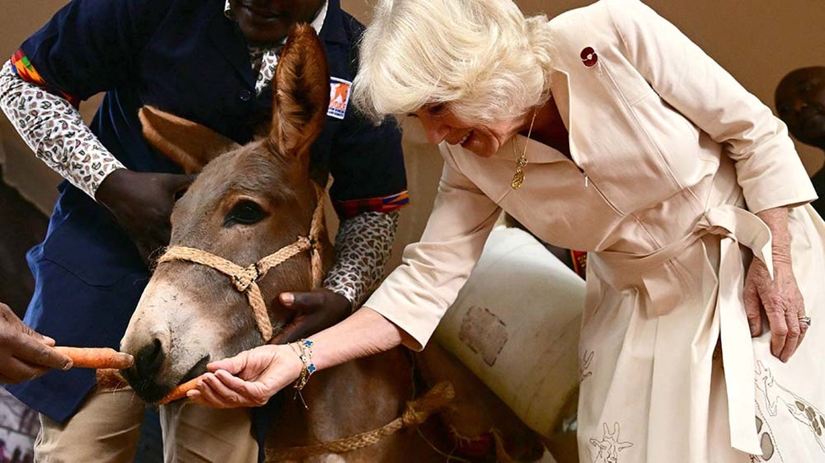 Queen feeds donkeys during visit to sanctuary in Kenya