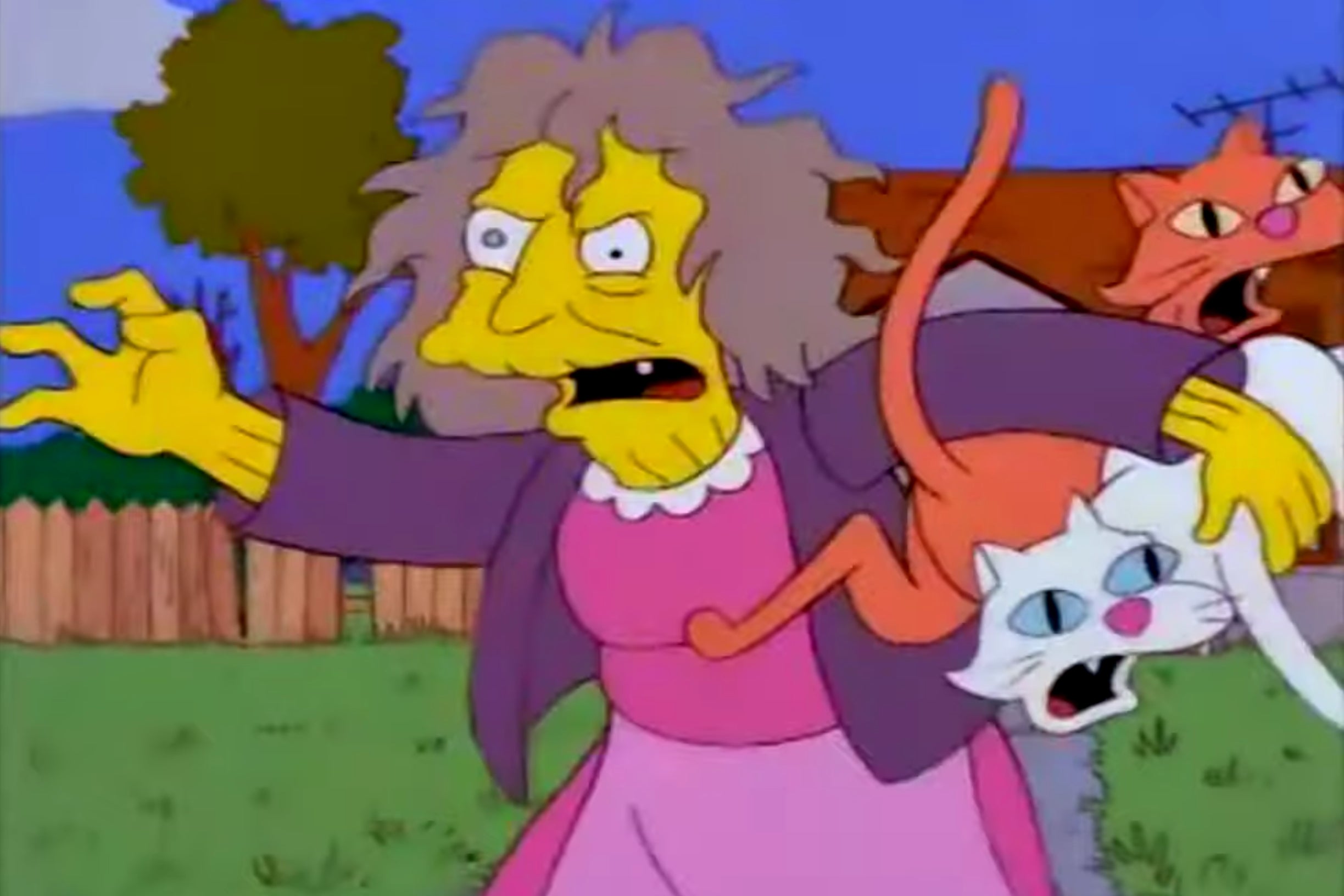 The ‘crazy cat lady’ trope, as seen here in ‘The Simpsons’, is a pervasive one both socially and culturally