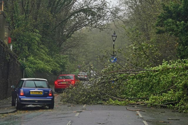 Cars pass a fallen tree in Dover, Kent, as Storm Ciaran brings high winds and heavy rain along the south coast of England (Gareth Fuller/PA)