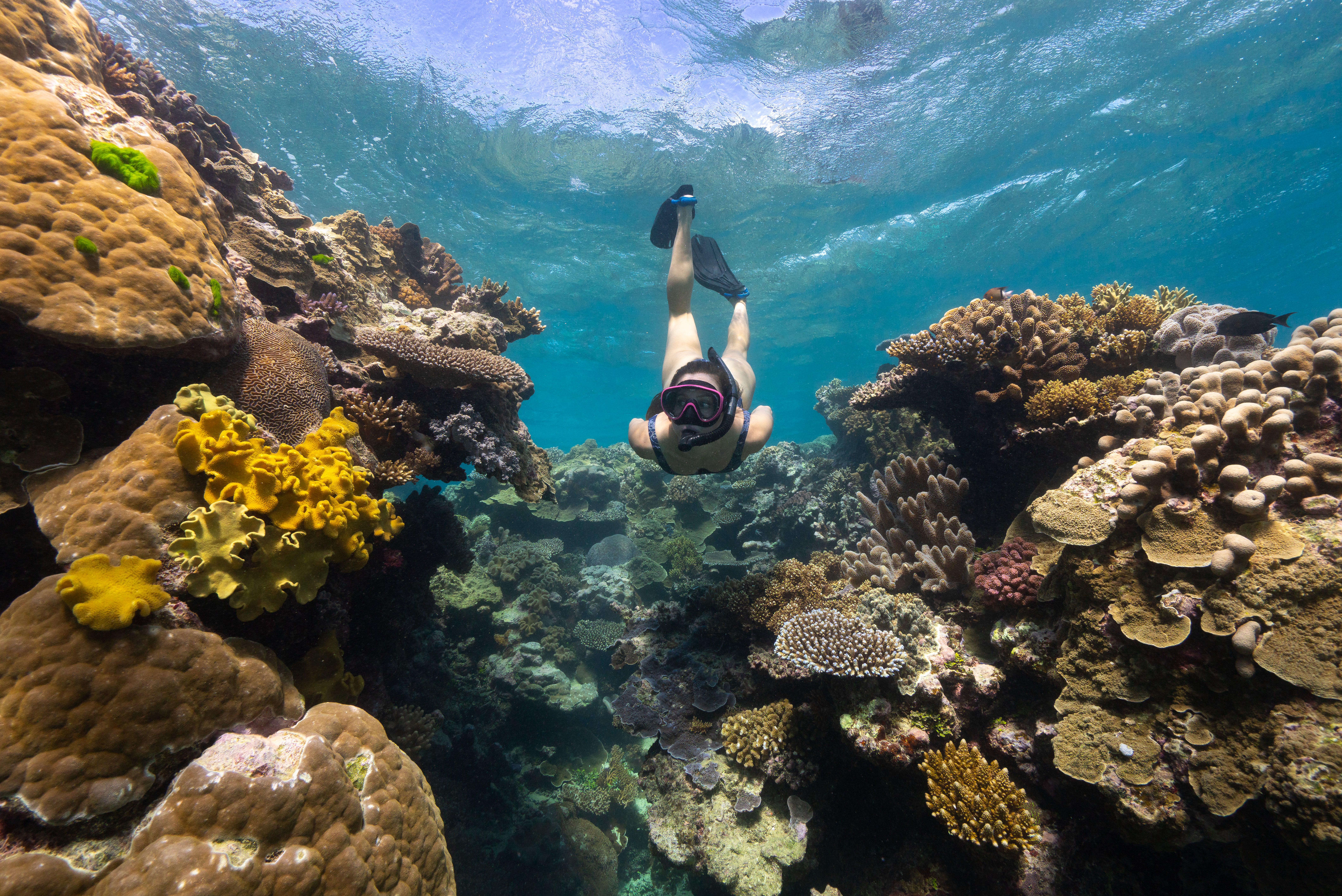Don’t miss the authentically luxury experience of snorkelling at the Club 10 Dive Site