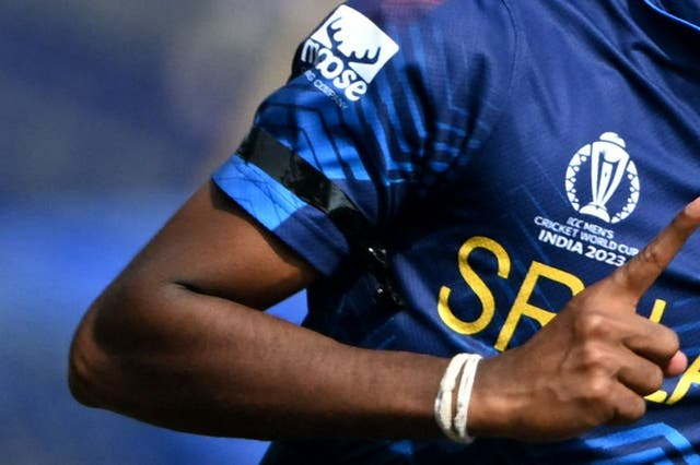 <p>The Sri Lanka team wore black armbands against India </p>