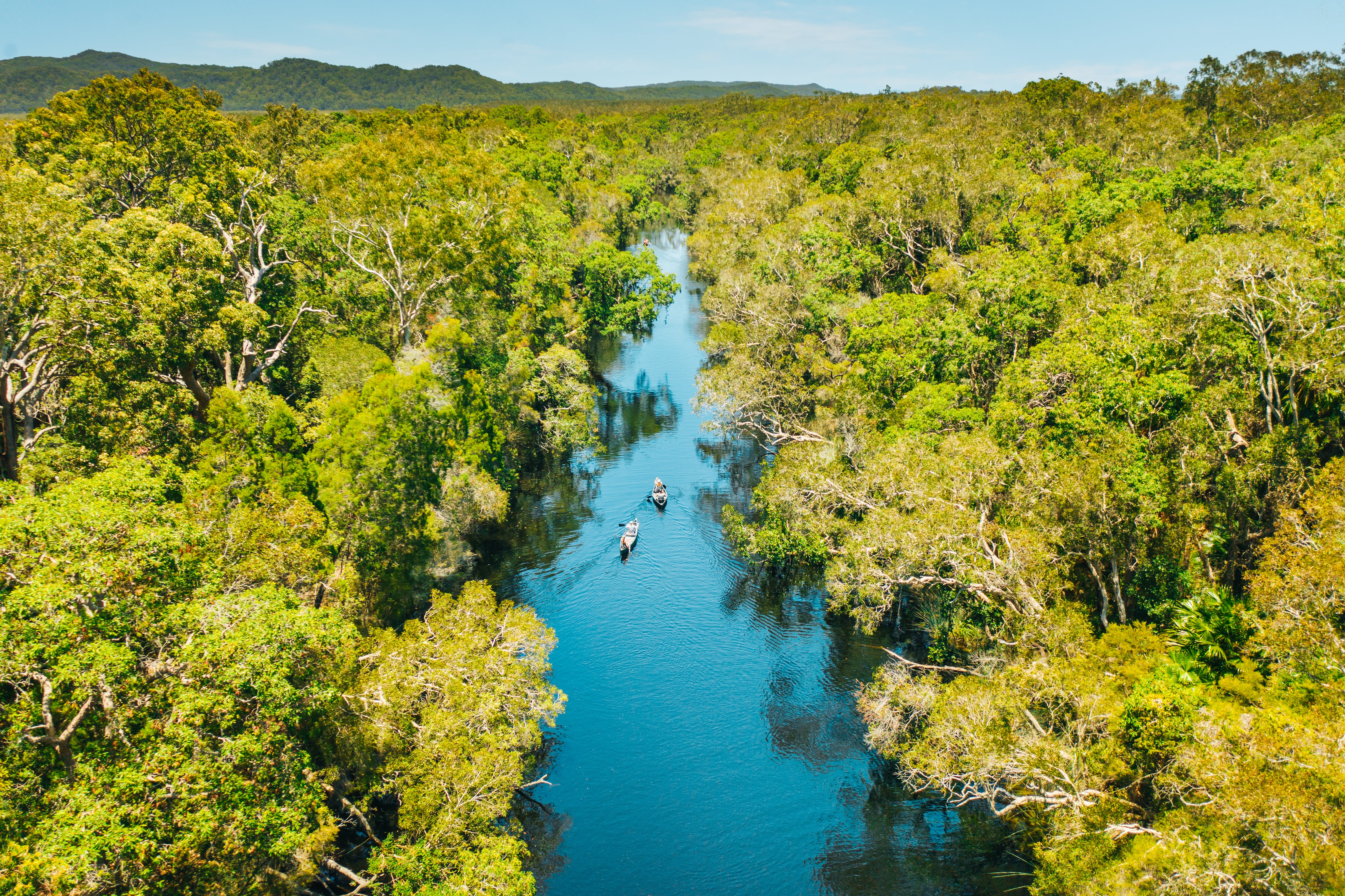 Queensland has plenty to offer the more eco-conscious traveller, from everglades tours with eco-certified operators stays at sustainable hotels
