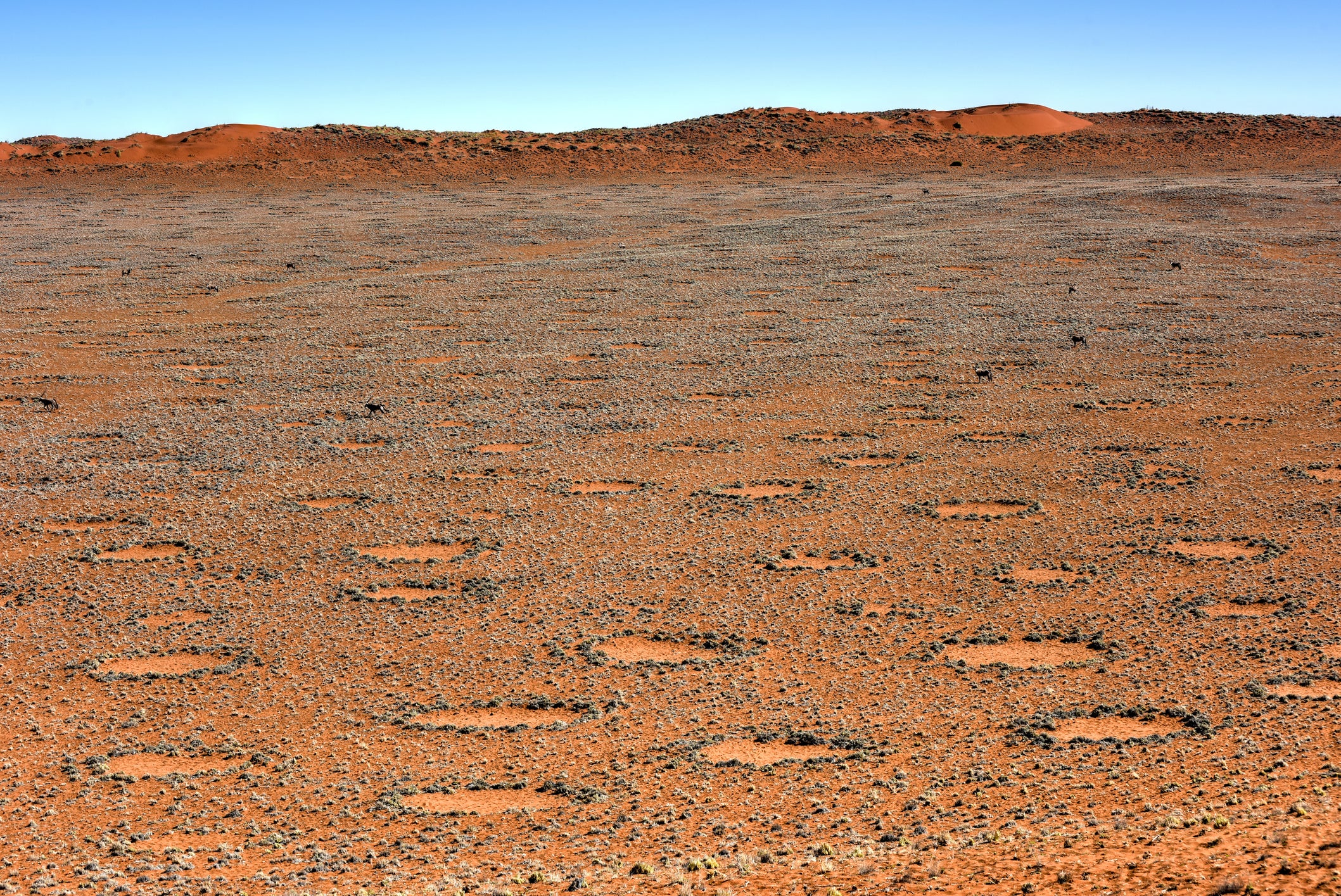 So-called fairy circles, located in the Namib Desert, in the Namib-Naukluft National Park of Namibia. Their presence is a sign that hydrogen is escaping from the Earth