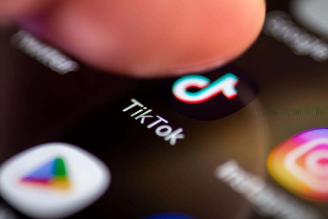 <p>Children are more likely to see content of real-life violence on TiKTok than on any other social media platform</p>