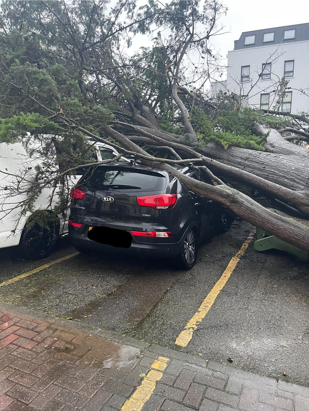 Several residents reported their cars had been severely damaged in the storm