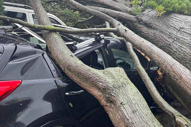 <p>Jersey residents woke up to devastating damage </p>
