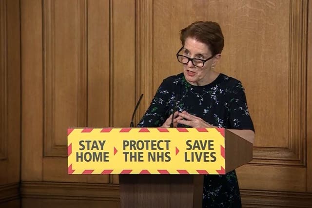 Professor Yvonne Doyle was medical director and director of health protection at PHE until October 2021 (PA)