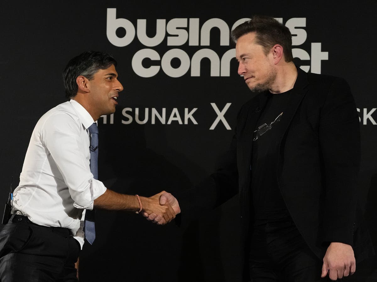 Elon Musk tells Sunak AI means we won’t have to work anymore