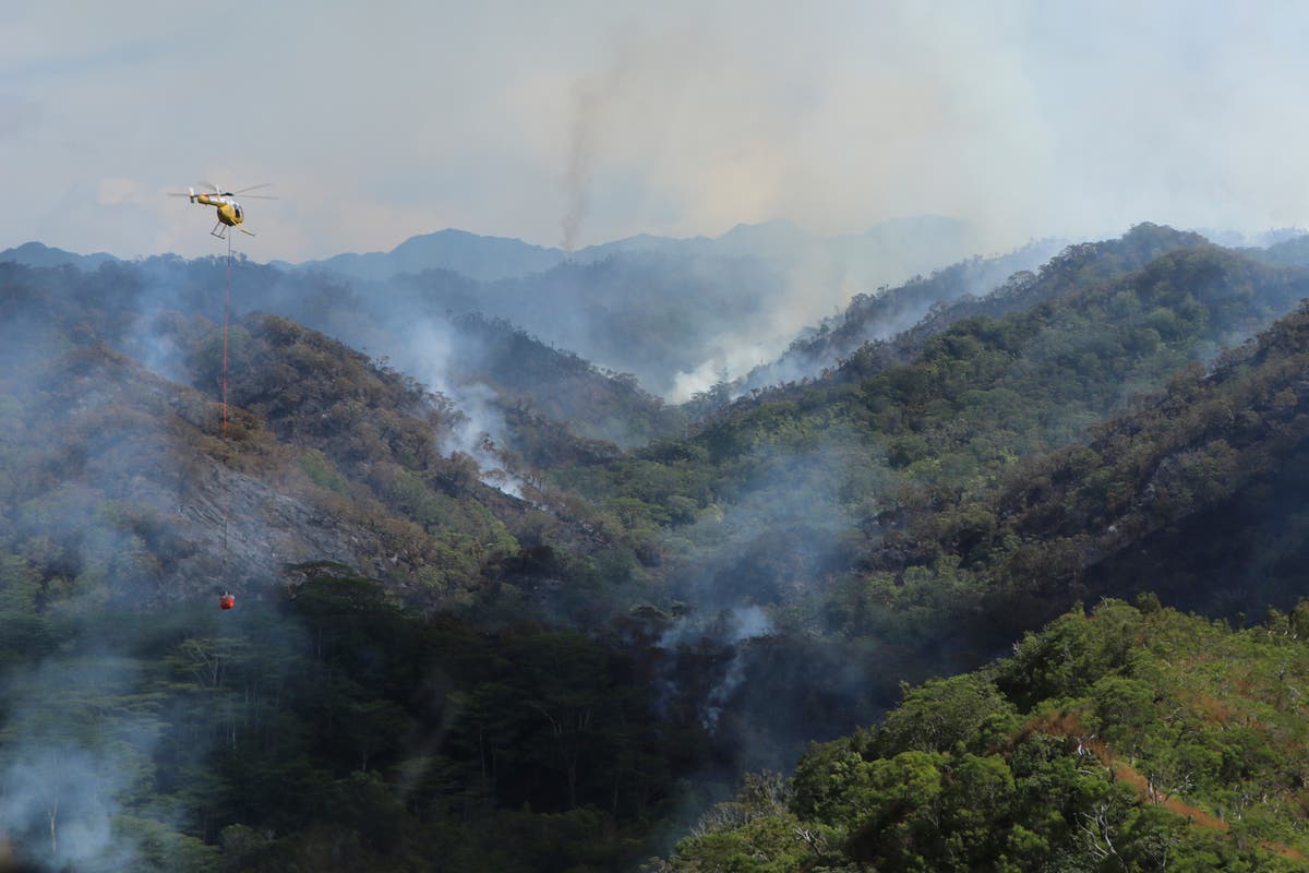 There's another wildfire burning in Hawaii. This one is destroying irreplaceable rainforest on Oahu