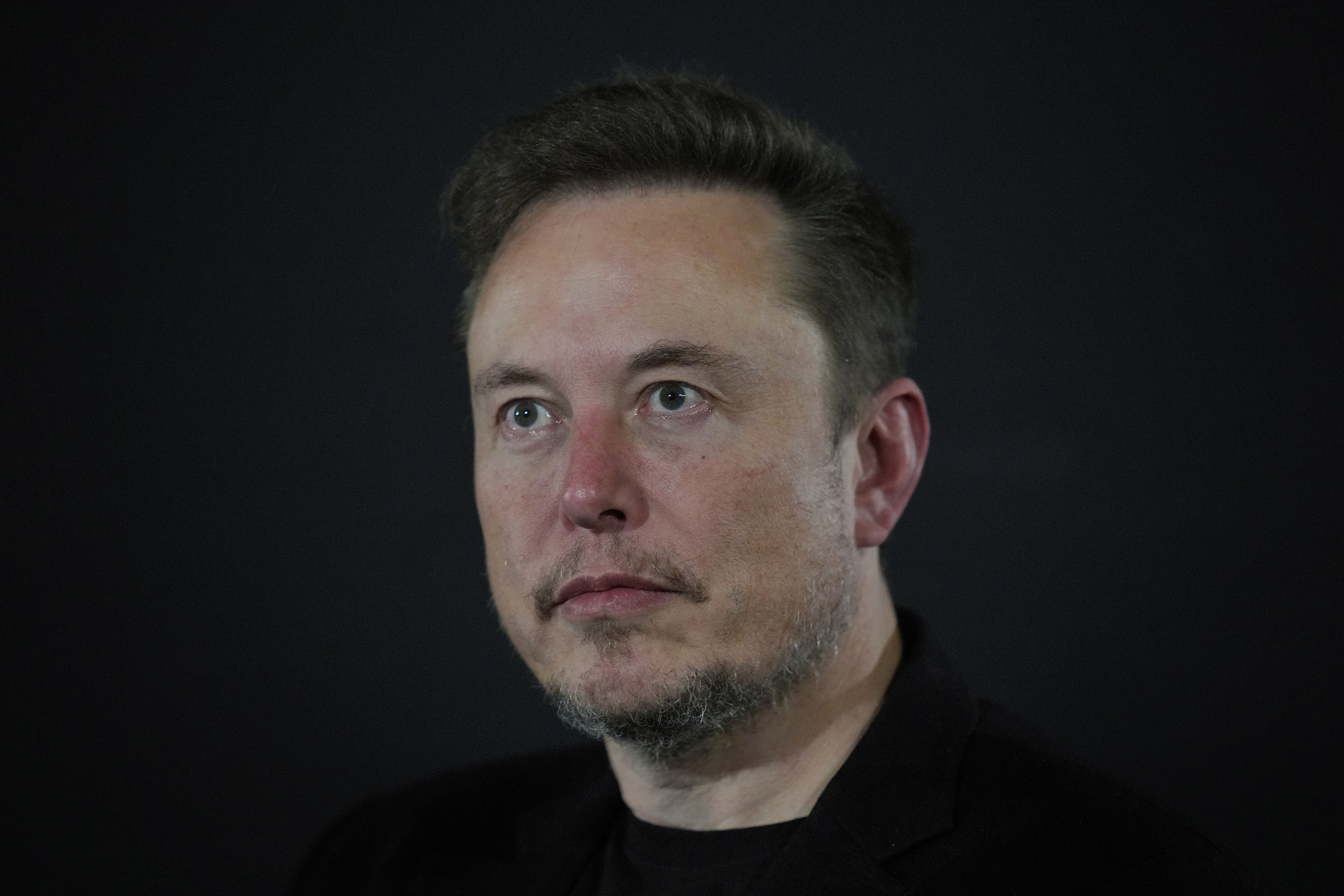 Elon Musk, chief executive of Tesla and SpaceX has raised concerns about AI and job prospects (Kirsty Wigglesworth/PA)