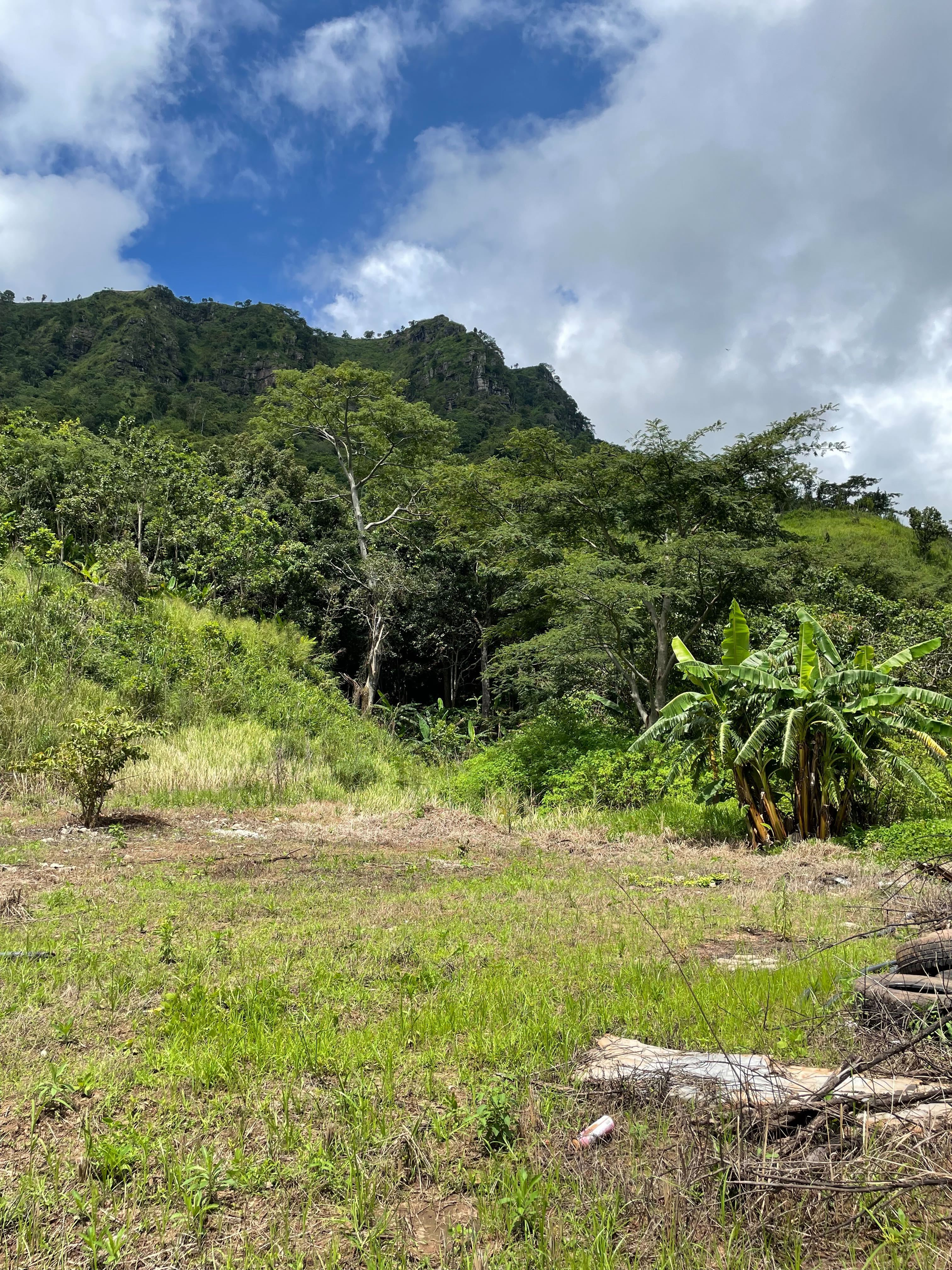 The farm where Moore and her parents used to work, in Thailand’s northern Khao Kho region