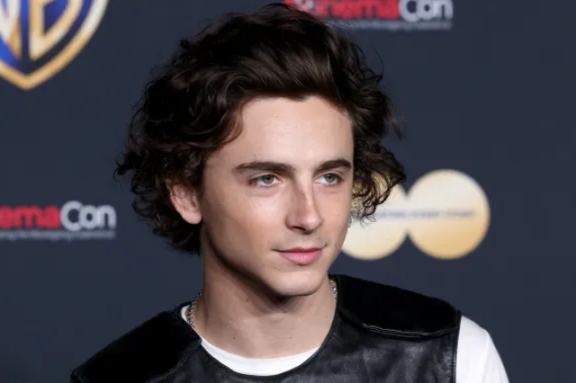 <p>Timothy Chalamet will be the next host on SNL</p>