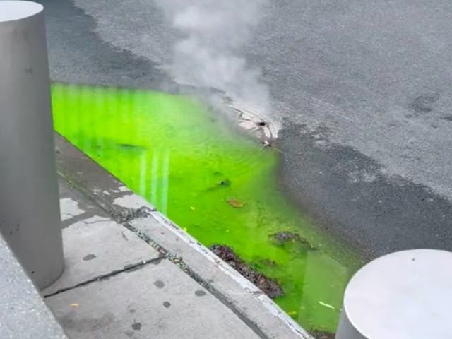 <p>A green liquid pooling in a Manhattan gutter — likely fluorescent dye for detecting sewer leaks — caused concerns from a New Yorker </p>