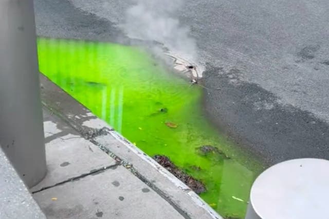 <p>A green liquid pooling in a Manhattan gutter — likely fluorescent dye for detecting sewer leaks — caused concerns from a New Yorker </p>