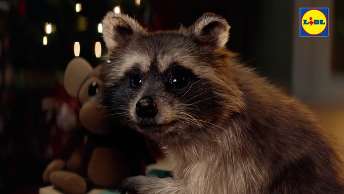 Lidl Christmas advert stars raccoon on mission to bring festive joy