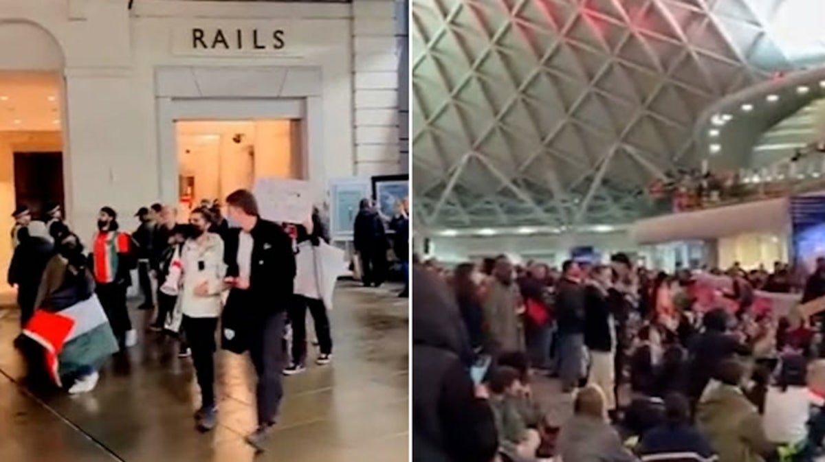 Watch: Gaza ceasefire protesters stage sit-in on King’s Cross station concourse