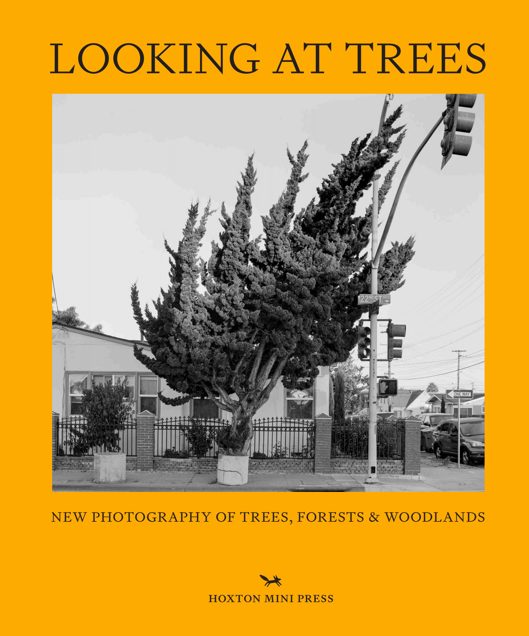 The cover of Sophie Howarth’s ‘Looking at Trees’
