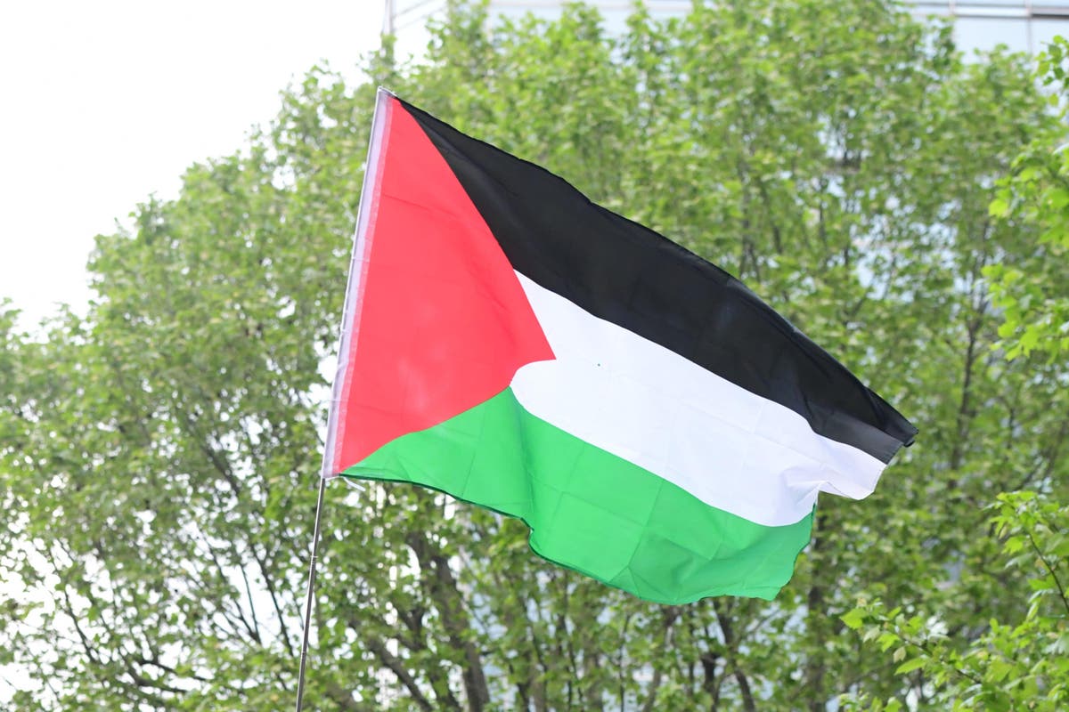 Five arrested at London King&rsquo;s Cross after pro-Palestinian protest banned