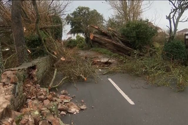 <p>Devastating aftermath of Storm Ciaran in Jersey captured by drone</p>