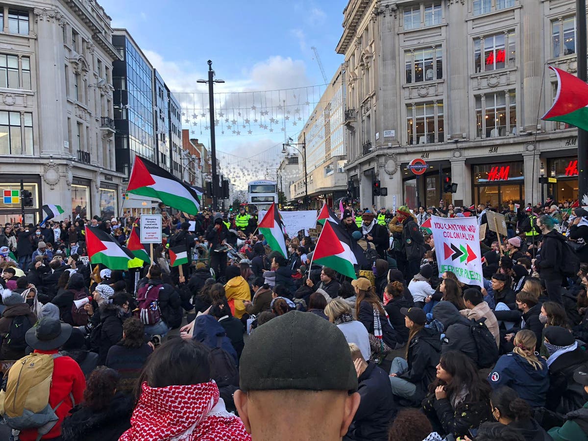 Oxford Circus at standstill as hundreds of pro-Palestine protesters stage sit-in over ceasefire