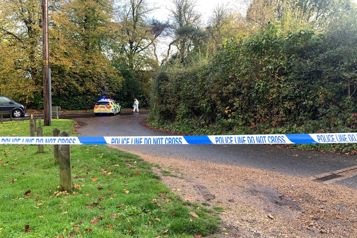 Driver released pending further inquiries after fatal school run collision Driver released pending further inquiries after fatal school run collision