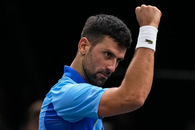 Novak Djokovic had to battle all the way to the Paris Masters final (Michel Euler/AP)