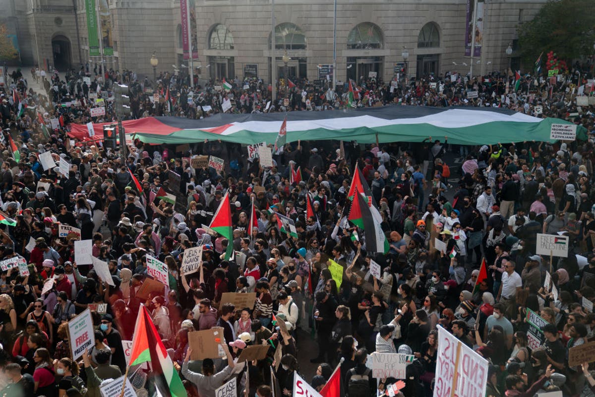 Thousands protest ‘genocide’ at DC rally for Palestine | The Independent