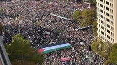 Thousands rally in DC in support of Palestinians and ceasefire in Gaza