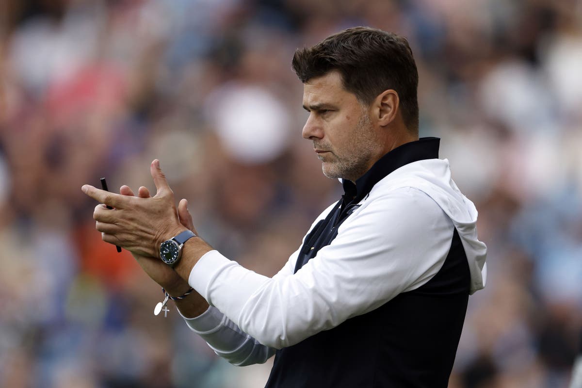 Mauricio Pochettino has &lsquo;very good&rsquo; relationship with Spurs chairman Daniel Levy