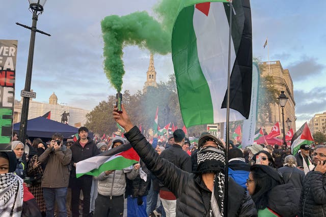 <p>Tens of thousands of people gathered as they carried flags and banners to demonstrate solidarity with the Palestinians</p>