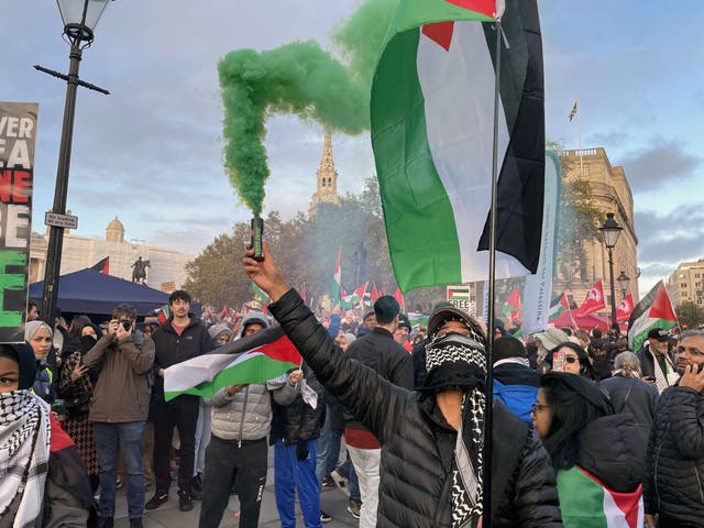 <p>Tens of thousands of people gathered as they carried flags and banners to demonstrate solidarity with the Palestinians</p>