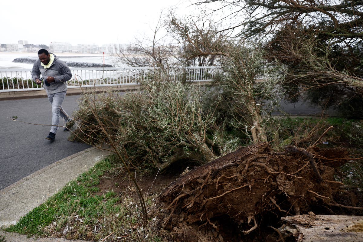 French power supplier says technician killed as it battles damage from Storm Ciar&aacute;n