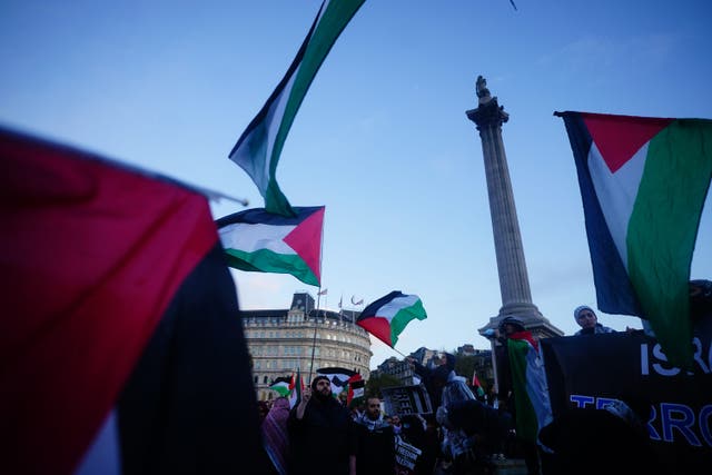 Pro-Palestinian protesters (Victoria Jones/PA)