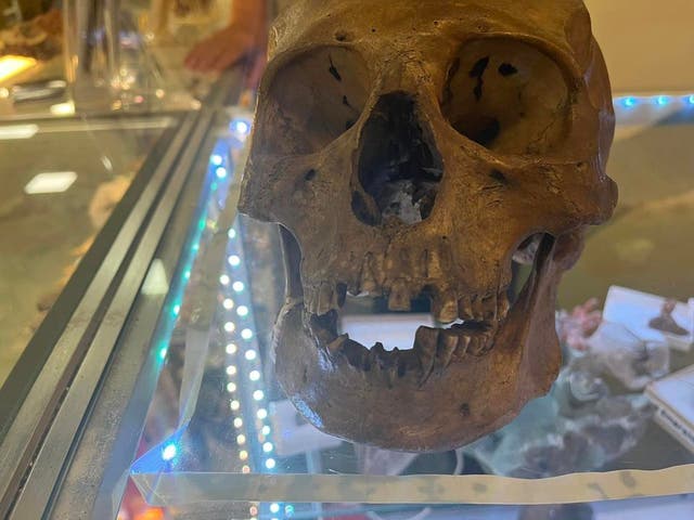 <p>El comprador, que resultó ser antropólogo, encontró el cráneo. </p>