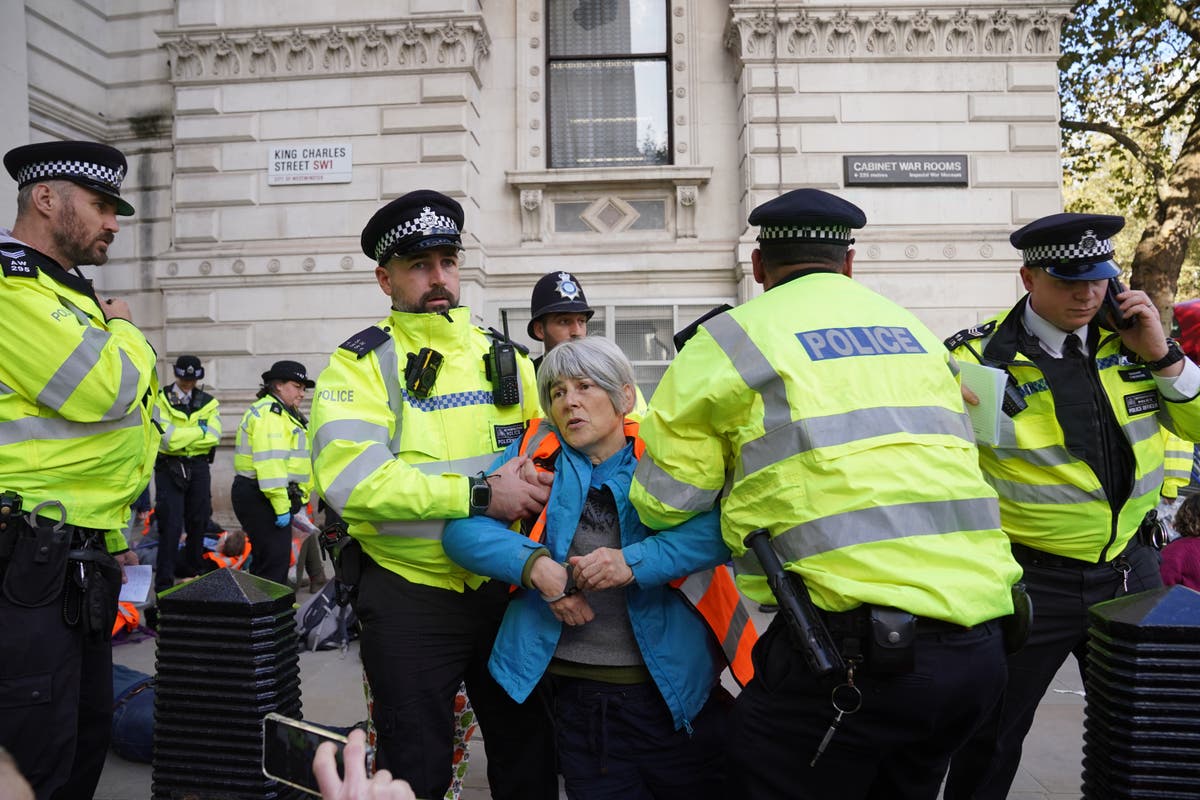 Just Stop Oil target the Cenotaph ahead of Remembrance Sunday parade 