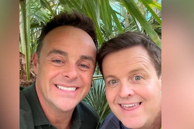 <p>Ant and Dec announce I’m A Celebrity 2023 start date in new ‘jungle’ clip.</p>